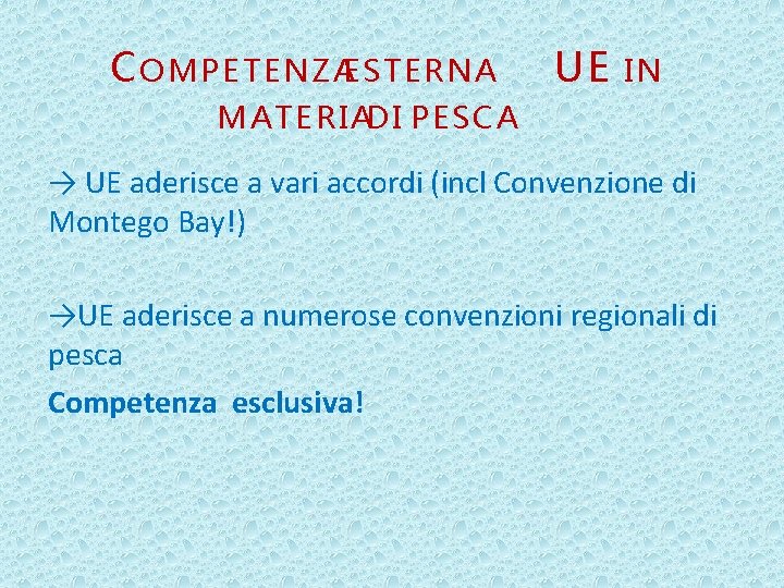 C OMPETENZAESTERNA UE IN MATERIADI PESCA → UE aderisce a vari accordi (incl Convenzione