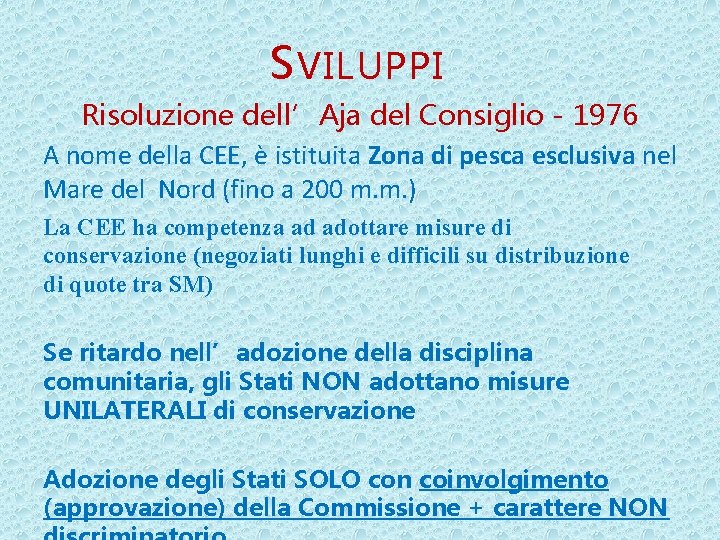 S VILUPPI Risoluzione dell’Aja del Consiglio - 1976 A nome della CEE, è istituita