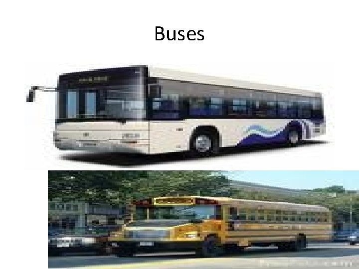 Buses 