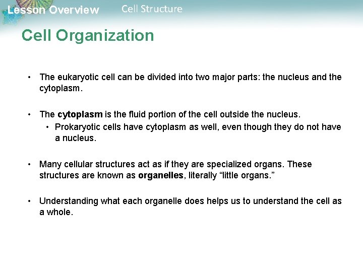 Lesson Overview Cell Structure Cell Organization • The eukaryotic cell can be divided into