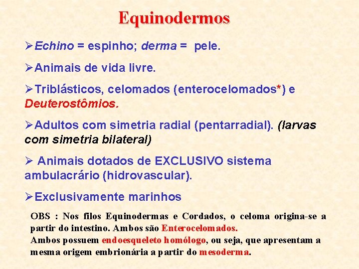 Equinodermos ØEchino = espinho; derma = pele. ØAnimais de vida livre. ØTriblásticos, celomados (enterocelomados*)