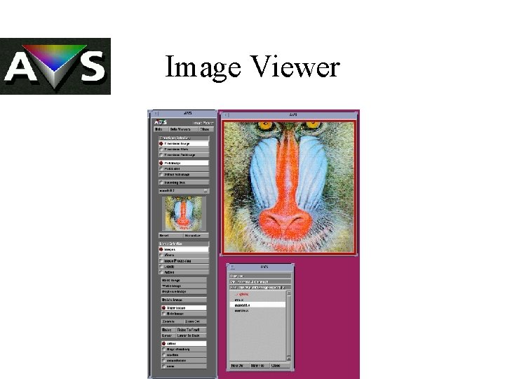 Image Viewer 