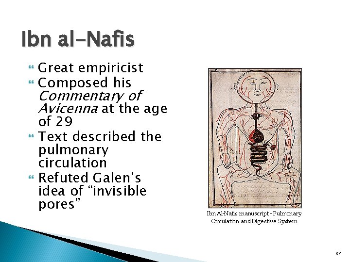 Ibn al-Nafis Great empiricist Composed his Commentary of Avicenna at the age of 29