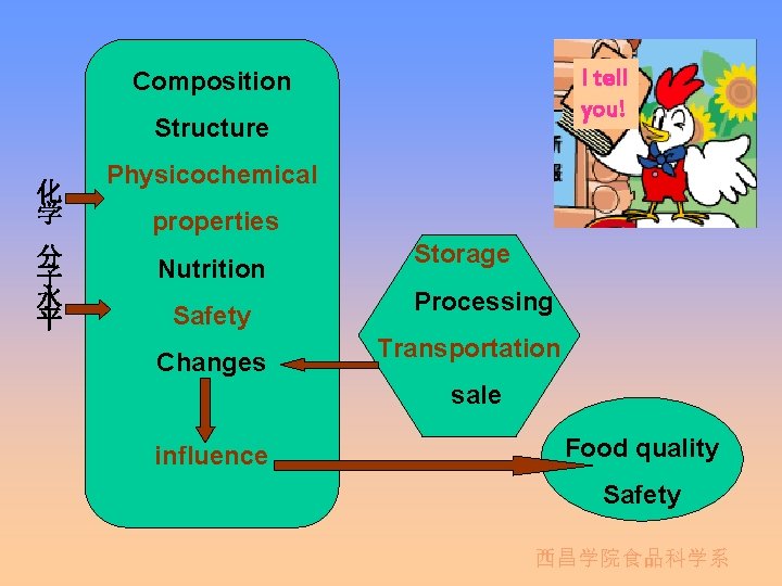 I tell you! Composition Structure 化 学 分 子 水 平 Physicochemical properties Nutrition