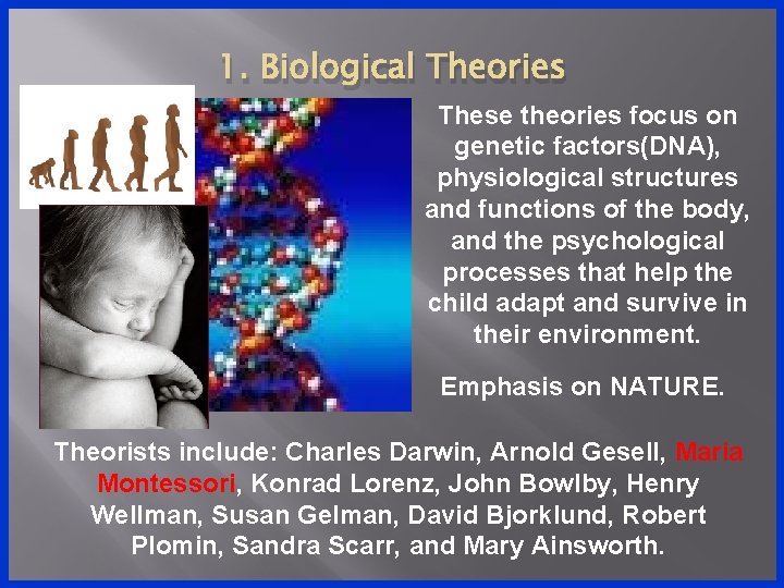 1. Biological Theories These theories focus on genetic factors(DNA), physiological structures and functions of 1. Biological Theories These theories focus on genetic factors(DNA), physiological structures and functions of
