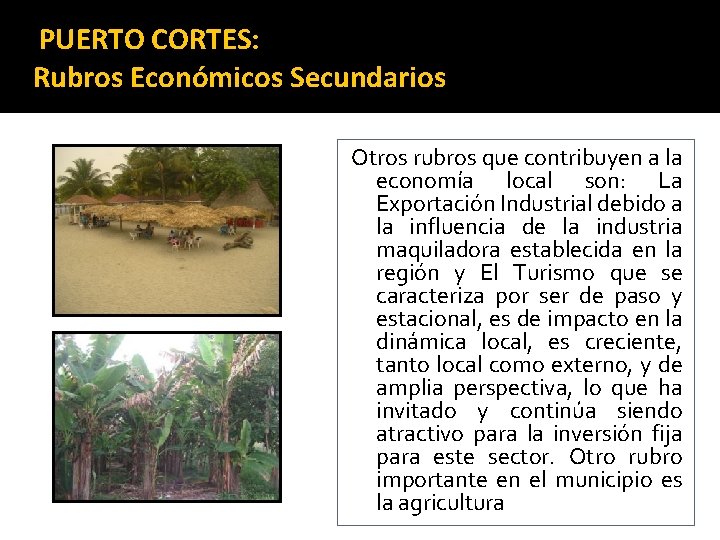 PUERTO CORTES: Rubros Económicos Secundarios Otros rubros que contribuyen a la economía local son: