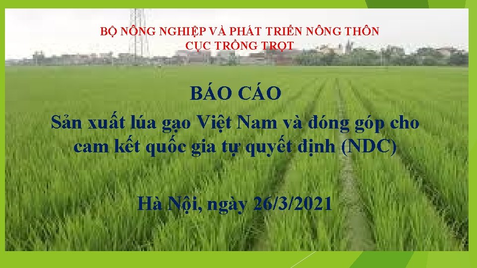 BỘ NÔNG NGHIỆP VÀ PHÁT TRIỂN NÔNG THÔN CỤC TRỒNG TRỌT BÁO CÁO Sản