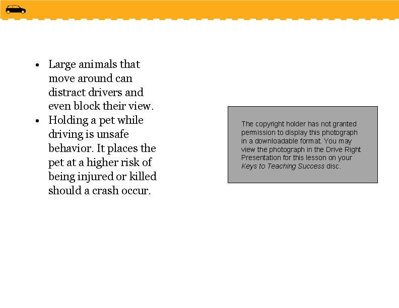  • Large animals that move around can distract drivers and even block their