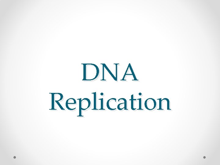 DNA Replication 