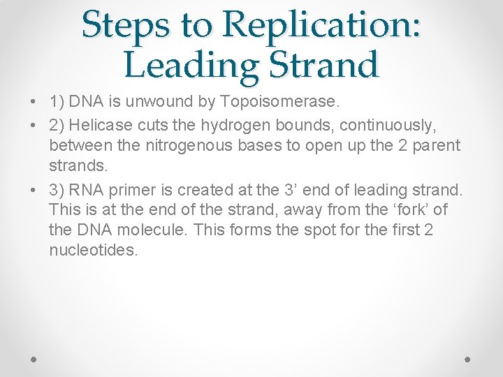 Steps to Replication: Leading Strand • 1) DNA is unwound by Topoisomerase. • 2)