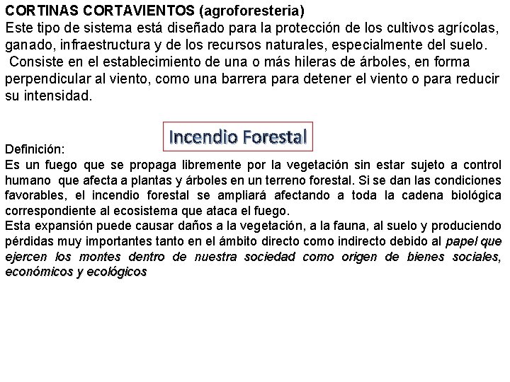 CORTINAS CORTAVIENTOS (agroforesteria) Este tipo de sistema está diseñado para la protección de los