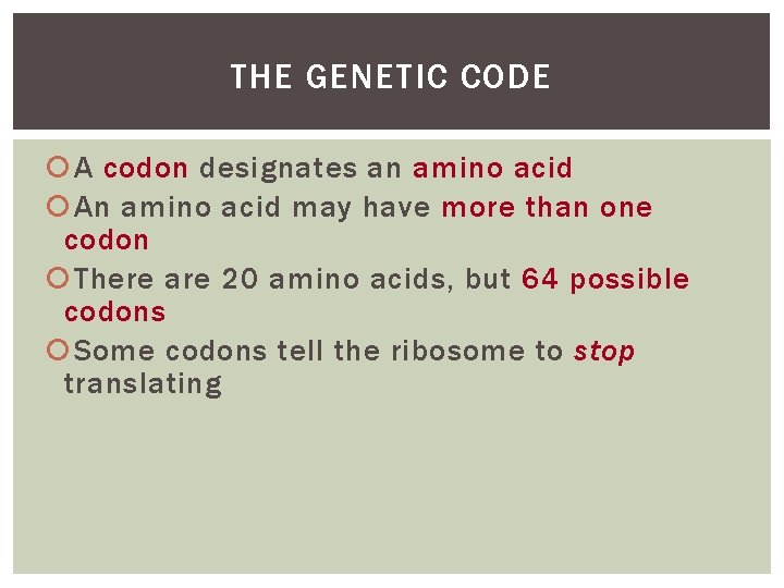 THE GENETIC CODE A codon designates an amino acid An amino acid may have