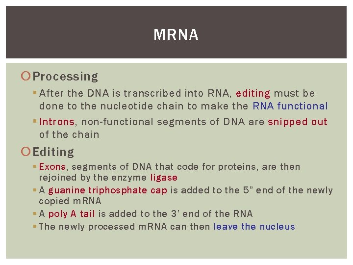 MRNA Processing § After the DNA is transcribed into RNA, editing must be done