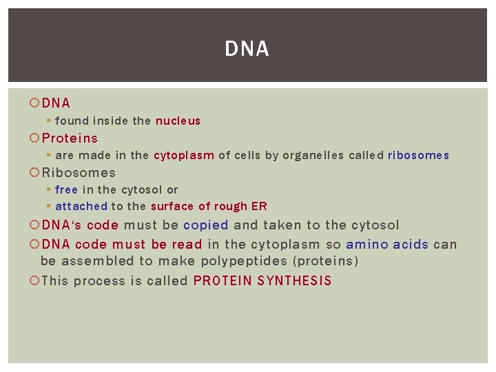 DNA § found inside the nucleus Proteins § are made in the cytoplasm of