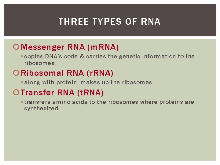 THREE TYPES OF RNA Messenger RNA (m. RNA) § copies DNA’s code & carries