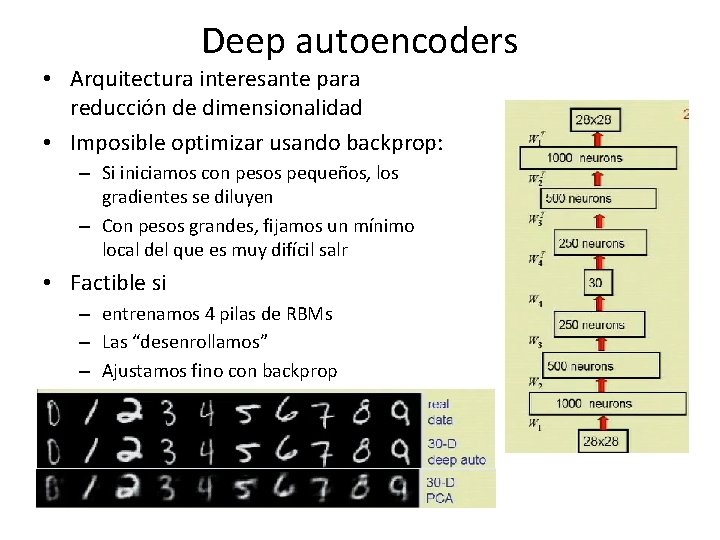 Deep autoencoders • Arquitectura interesante para reducción de dimensionalidad • Imposible optimizar usando backprop: