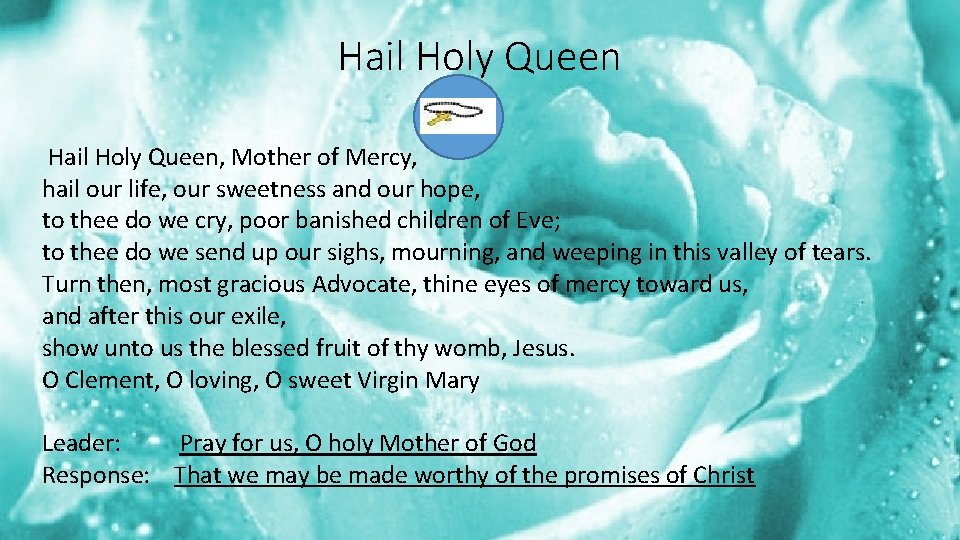 Hail Holy Queen, Mother of Mercy, hail our life, our sweetness and our hope,