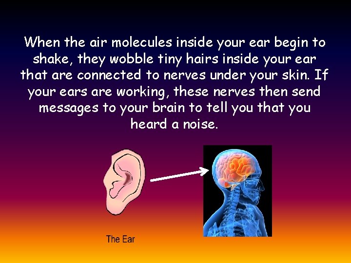 When the air molecules inside your ear begin to shake, they wobble tiny hairs