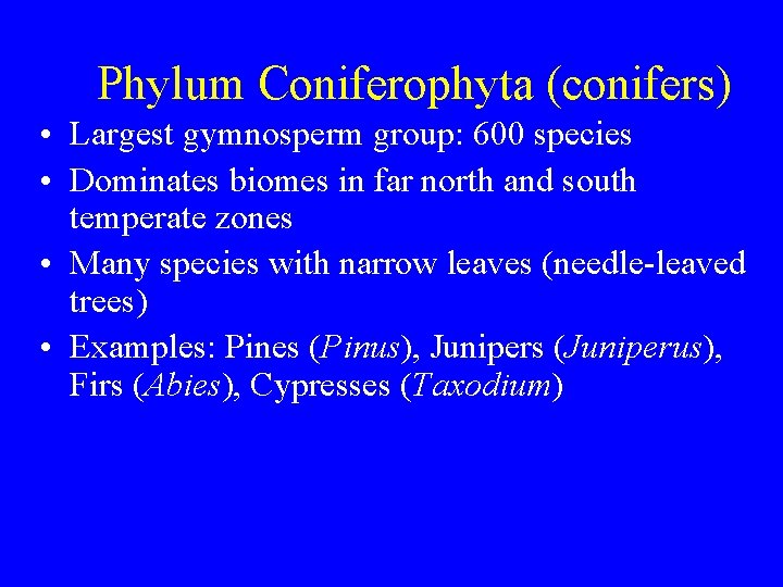 Phylum Coniferophyta (conifers) • Largest gymnosperm group: 600 species • Dominates biomes in far