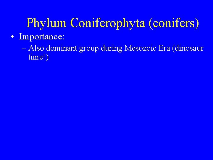 Phylum Coniferophyta (conifers) • Importance: – Also dominant group during Mesozoic Era (dinosaur time!)