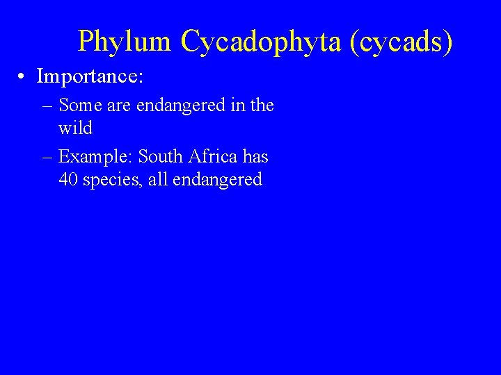 Phylum Cycadophyta (cycads) • Importance: – Some are endangered in the wild – Example: