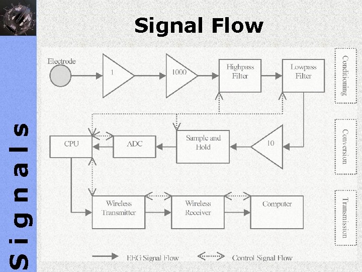 Signals Signal Flow 