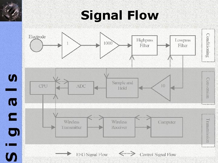 Signals Signal Flow 