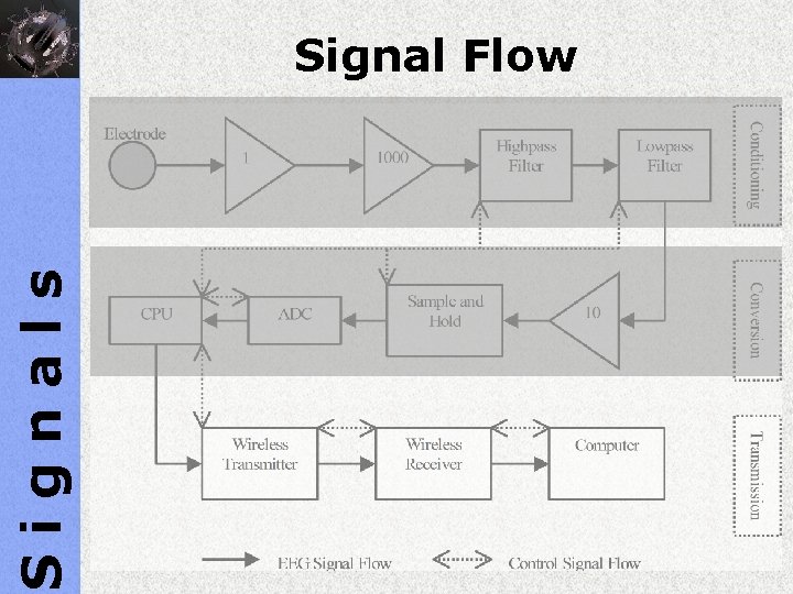 Signals Signal Flow 