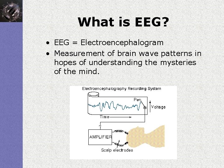 What is EEG? • EEG = Electroencephalogram • Measurement of brain wave patterns in