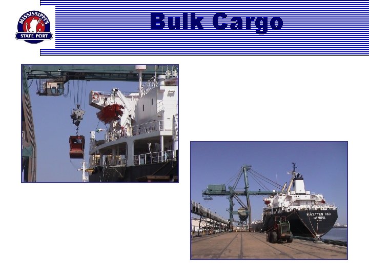 Bulk Cargo 
