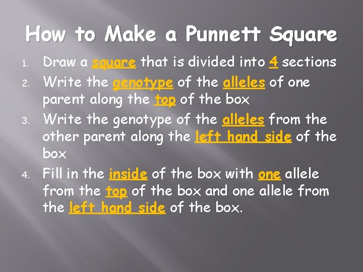 How to Make a Punnett Square 1. 2. 3. 4. Draw a square that