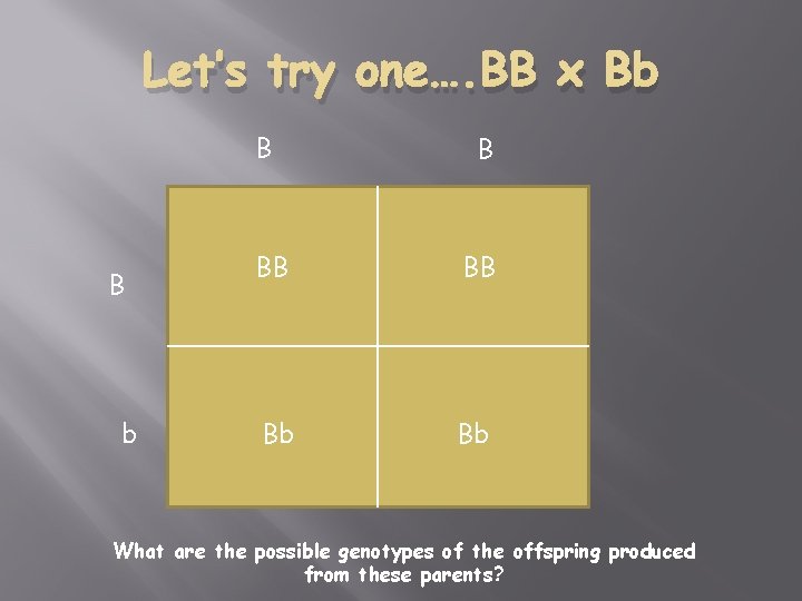 Let’s try one…. BB x Bb B BB BB Bb Bb What are the