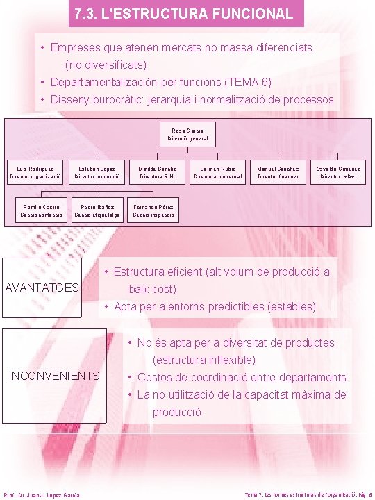 7. 3. L'ESTRUCTURA FUNCIONAL • Empreses que atenen mercats no massa diferenciats (no diversificats)