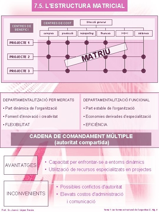7. 5. L'ESTRUCTURA MATRICIAL CENTRES DE BENEFICI CENTRES DE COST compres producció Direcció general