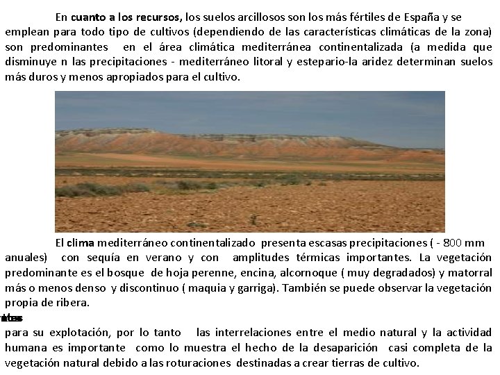 En cuanto a los recursos, los suelos arcillosos son los más fértiles de España