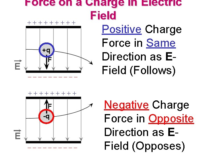 E Force on a Charge in Electric Field +++++ Positive Charge Force in Same