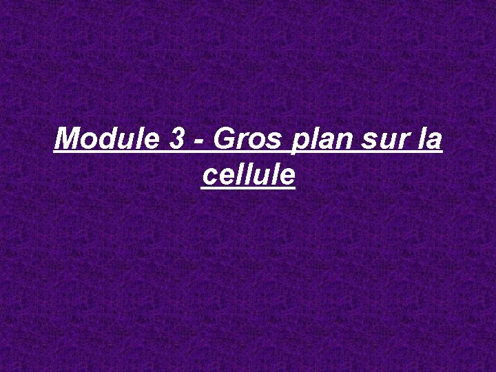 Module 3 - Gros plan sur la cellule 