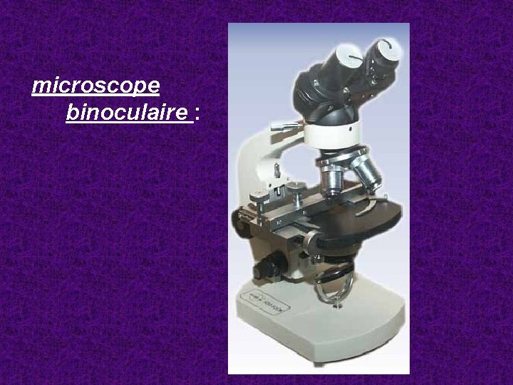 microscope binoculaire : 