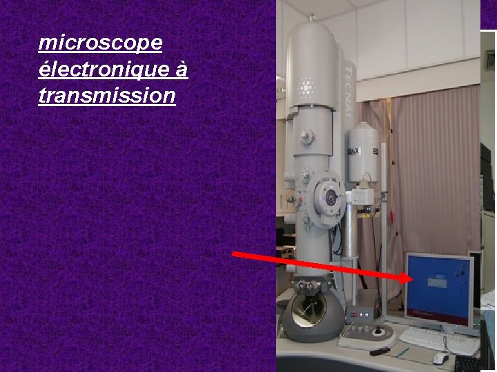 microscope électronique à transmission 