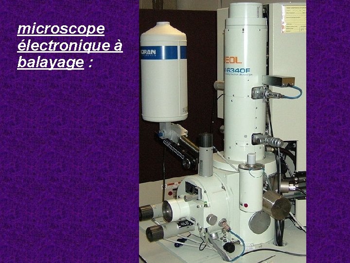microscope électronique à balayage : 