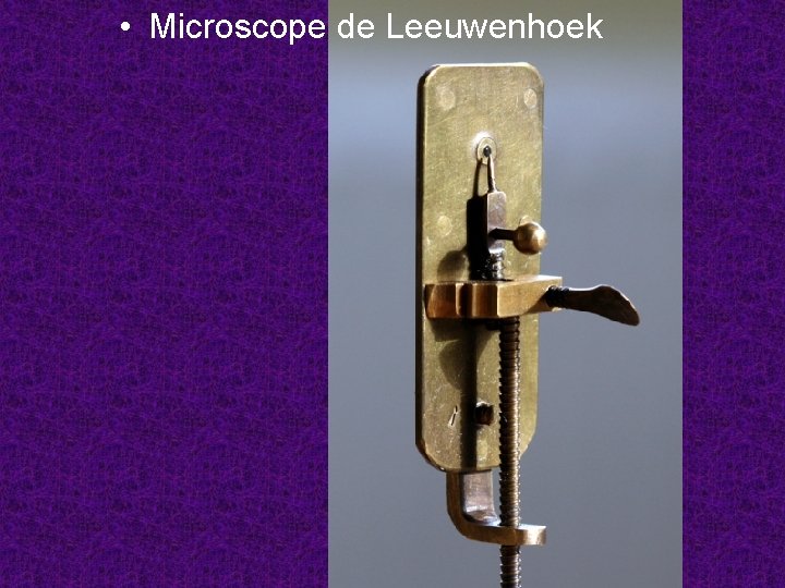  • Microscope de Leeuwenhoek 
