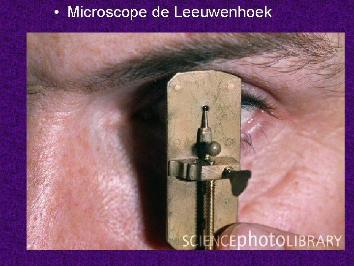  • Microscope de Leeuwenhoek 