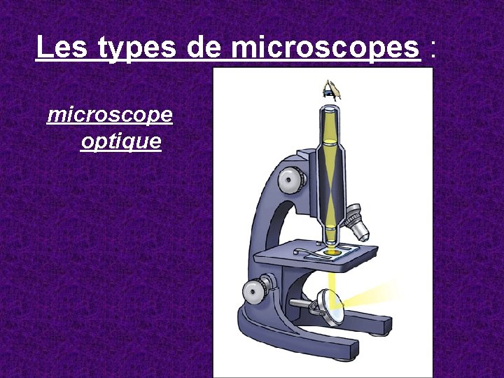 Les types de microscopes : microscope optique 