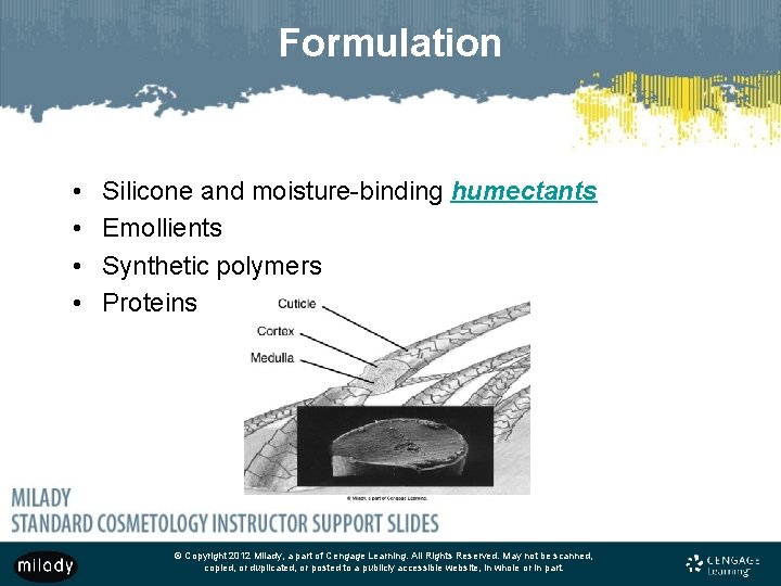 Formulation • • Silicone and moisture-binding humectants Emollients Synthetic polymers Proteins © Copyright 2012