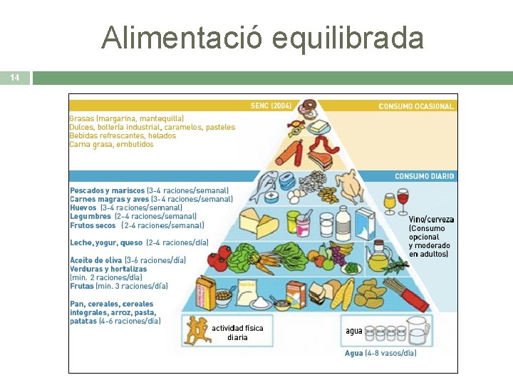 Alimentació equilibrada 14 