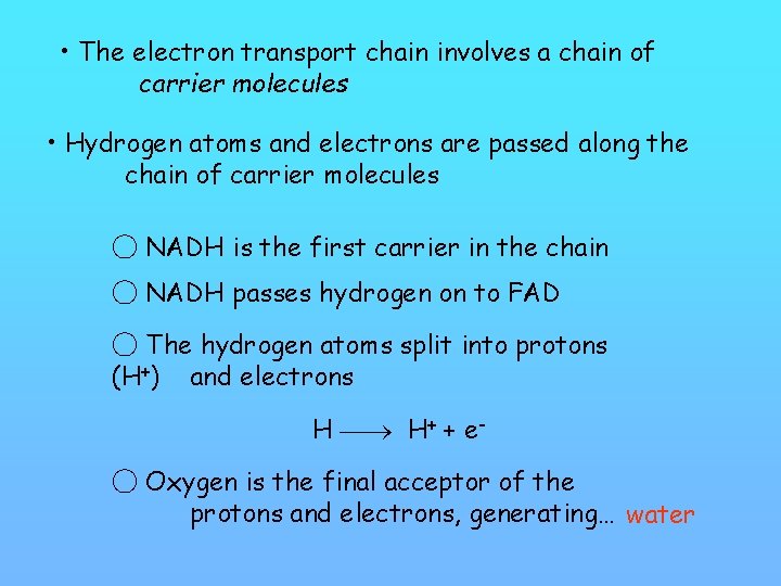  • The electron transport chain involves a chain of carrier molecules • Hydrogen
