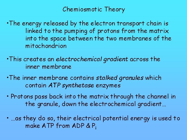 Chemiosmotic Theory • The energy released by the electron transport chain is linked to