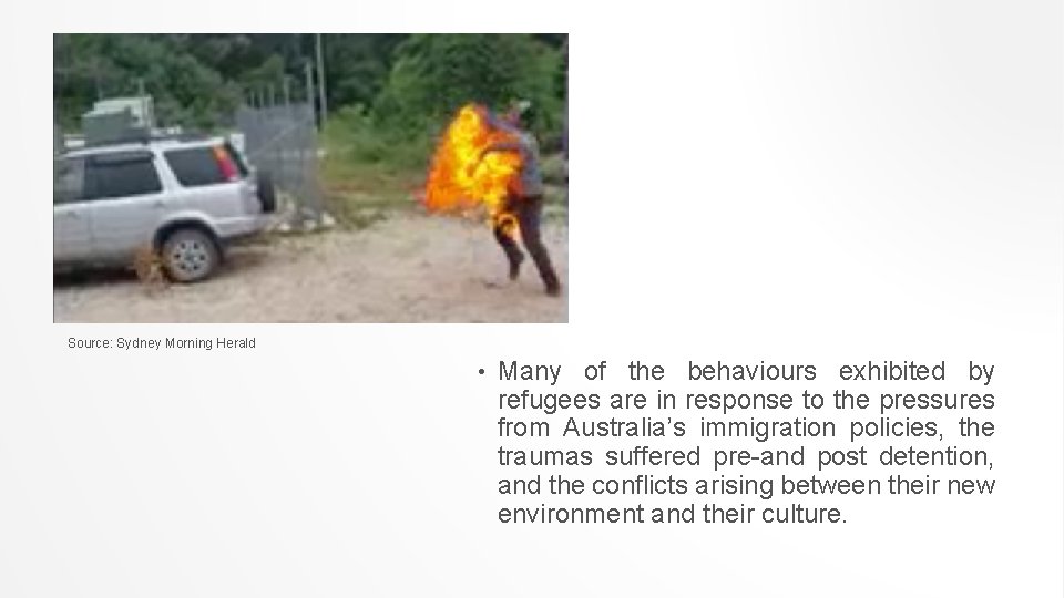 Source: Sydney Morning Herald • Many of the behaviours exhibited by refugees are in Source: Sydney Morning Herald • Many of the behaviours exhibited by refugees are in