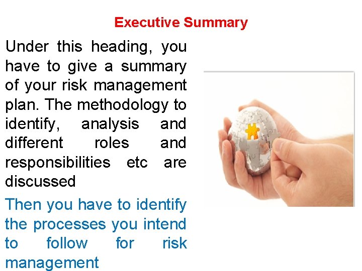 Executive Summary Under this heading, you have to give a summary of your risk