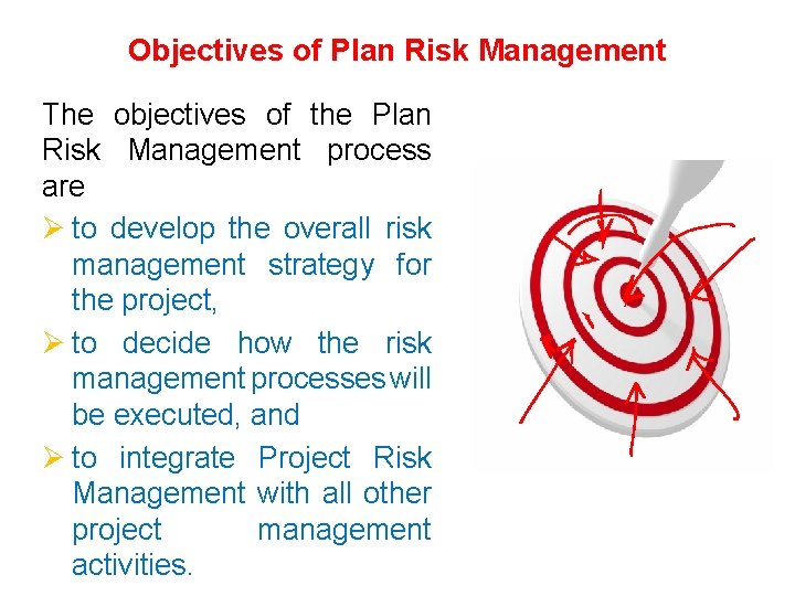 Objectives of Plan Risk Management The objectives of the Plan Risk Management process are